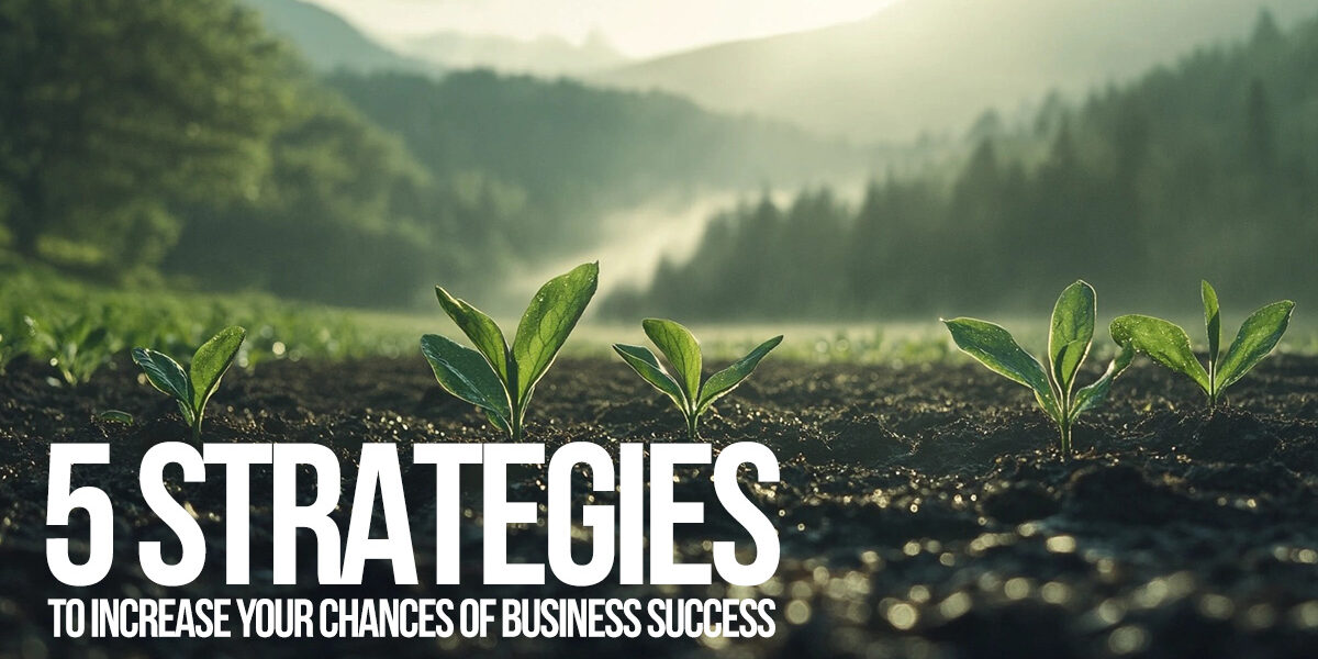 BUSINESS-5 Strategies to Increase Your Chances of Business Success