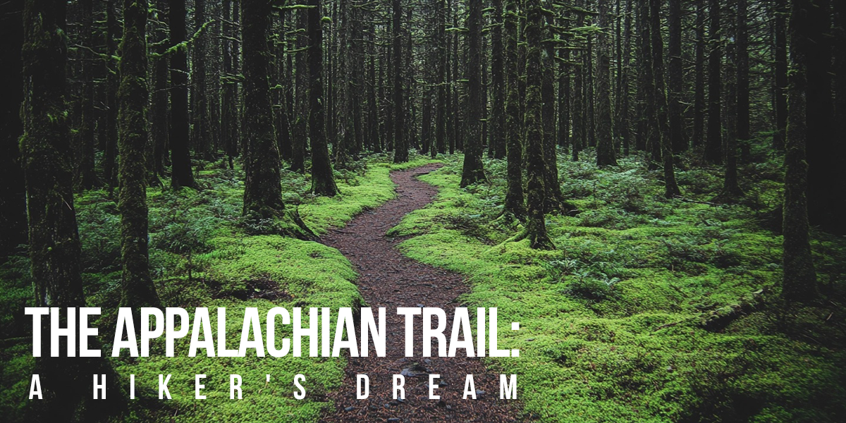 FUN-The Appalachian Trail_ A Hiker's Dream